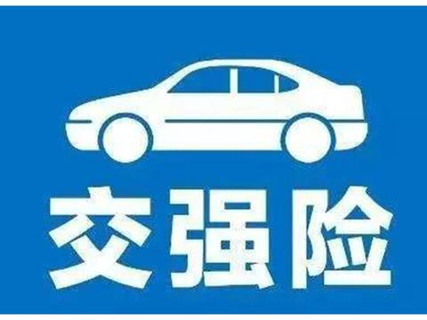 不知如何选车险？定损员：买4种就够了，买别的就是浪费钱！