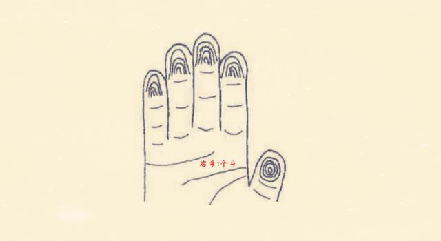 (2),1个斗(9个簸箕)
