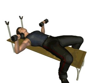 高效训练动作,带给肌肉泵感,让手臂围度快速增加|杠铃