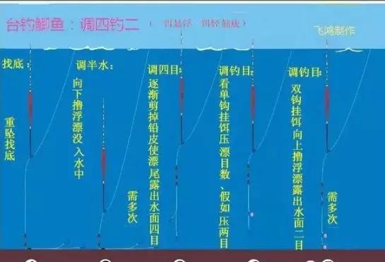 老钓友为你分享几种实用的调钓,让你少走弯路