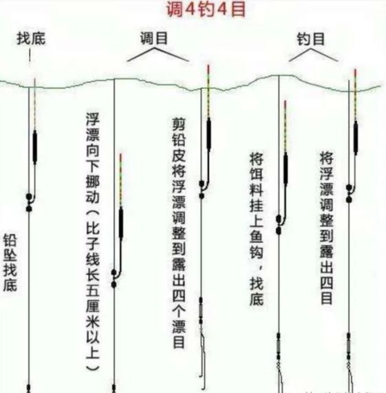 老钓友为你分享几种实用的调钓,让你少走弯路