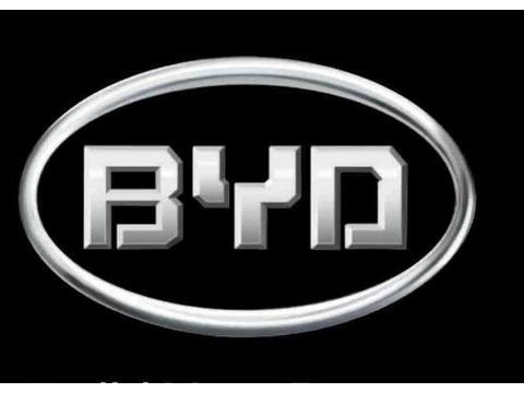 车标带B除了比亚迪，撞了谁都惹不起，尤其这辆，碰上准备卖房吧