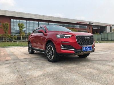 三保归来，大红鹰精神抖擞，帅气十足！