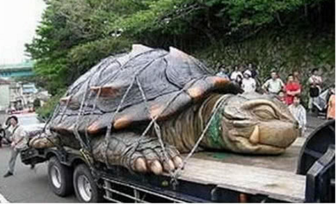 世界上最大的乌龟,长度达2米大到要用卡车出行,你见过