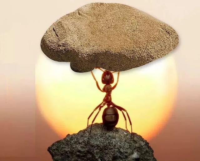 女孩子不化妆也漂亮 自然美养成指南