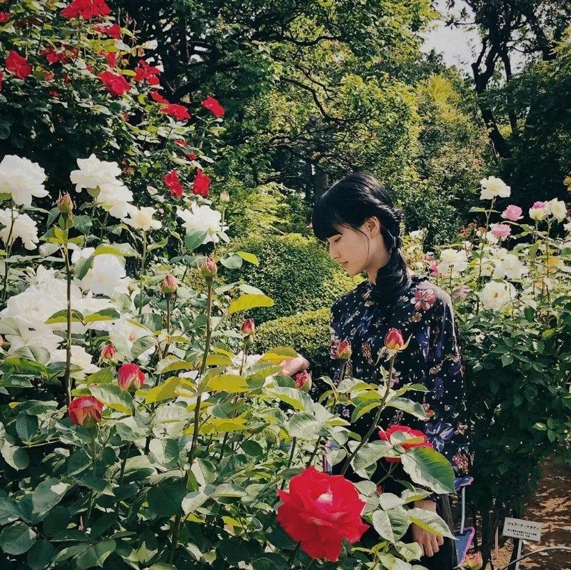 自曝曾疯狂迷恋情色片!日本桥本爱演美少女惊艳出新高度