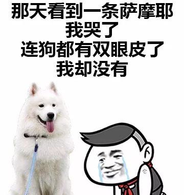 搞笑表情包:吃着吃着鸡胸肉就哭了,连鸡都有胸,我没有