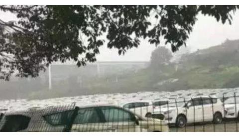 又一国产车要凉？库存堆积如山车身布满青苔，网友：败在了名字上