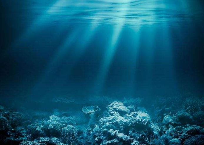 海底一万米有多恐怖,人瞬间被压成纸片,海底8200米鱼已经不是鱼