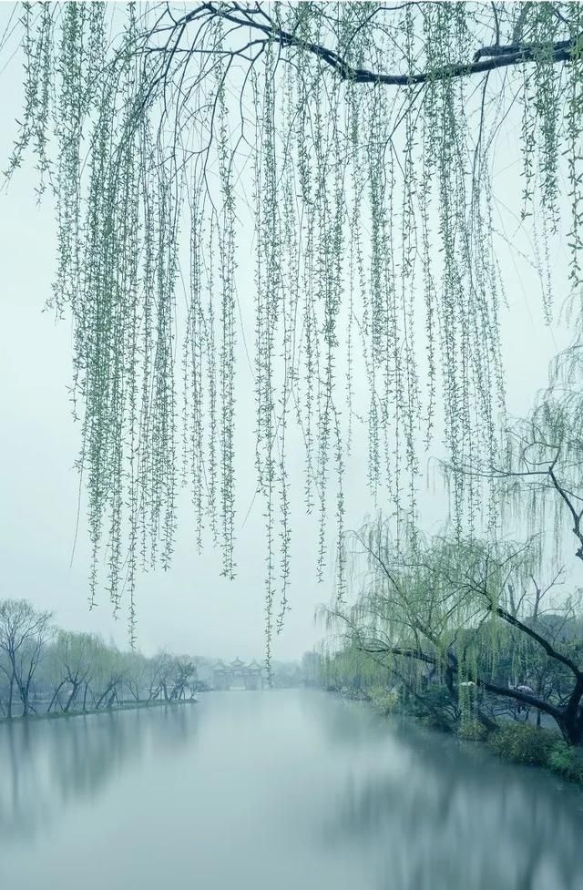 三月的烟雨,飘摇的江南,我想带你去杭州