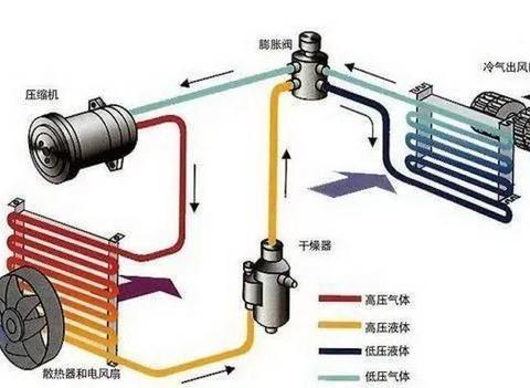 不起眼的杨絮、柳絮对汽车影响这么大？谁都没想到