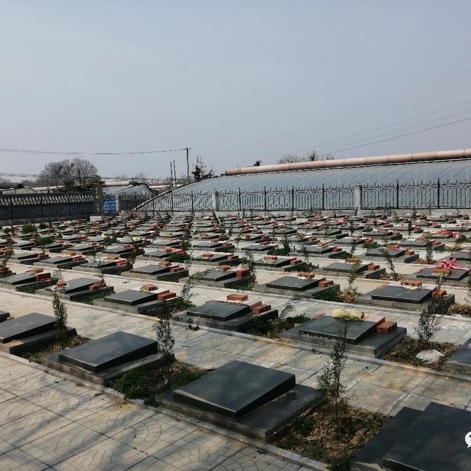 移风易俗 | 寿光、昌邑等县市区积极推进公益性公墓建设，成效初现|疫情|殡葬_新浪新闻