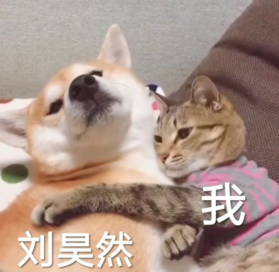 提到娱乐圈自拍黑洞,刘昊然必须榜上有名!