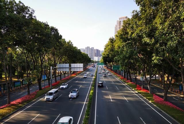 深圳的城市道路绿化究竟有多牛?网友:至少排进全国前三!