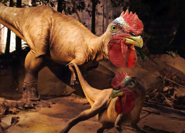 亚洲最小的恐龙被发现,如同一只鸡大小,性格却残暴酷爱吃肉
