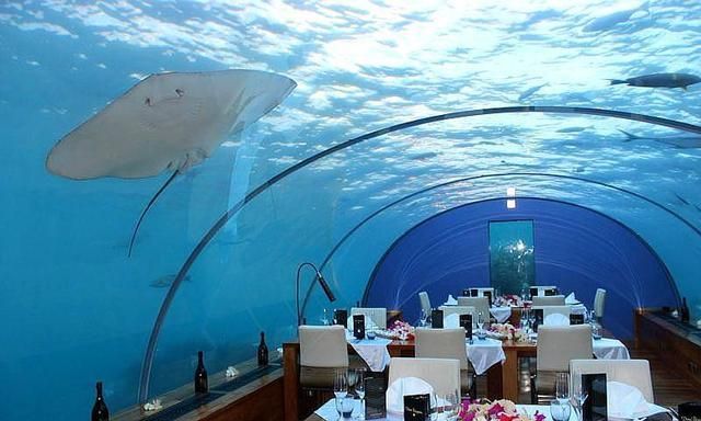 马尔代夫旅游:世界上第一家海底餐厅将迎来十周年,一起看看吧