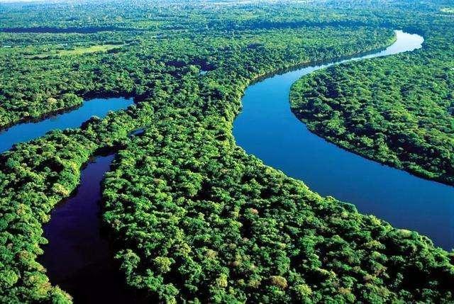 亚马逊河到底有多可怕 为什么没有人敢下水游泳