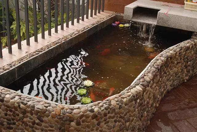 还买啥鱼缸,在阳台上砖砌一个鱼池,漂亮又拉风!