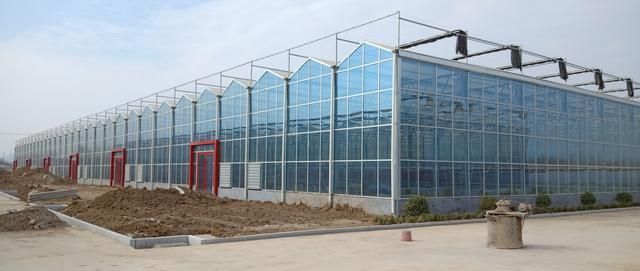 什么是全玻璃温室大棚?全玻璃智能温室如何设计建造