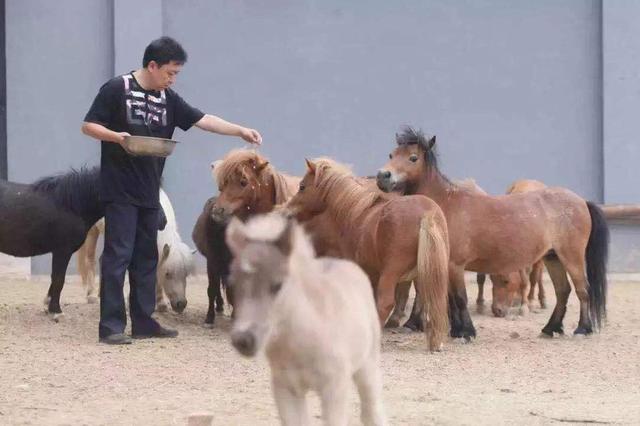 ��ǫ��������Ǯ��������������ӵ�ĺ�Ժ��ԭ��˵����ֻ��Ϊ����ǲ