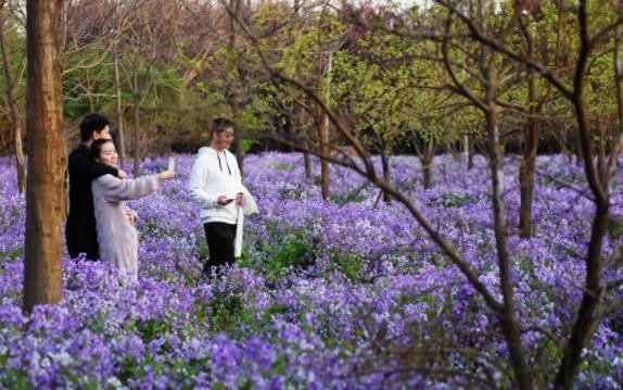 中英文翻译中 通感 修辞手法的赏析及实践 英语教育随笔