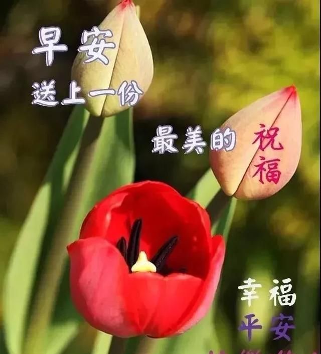 早上好祝福语简短 4月7日周二春天早安动态表情图片免