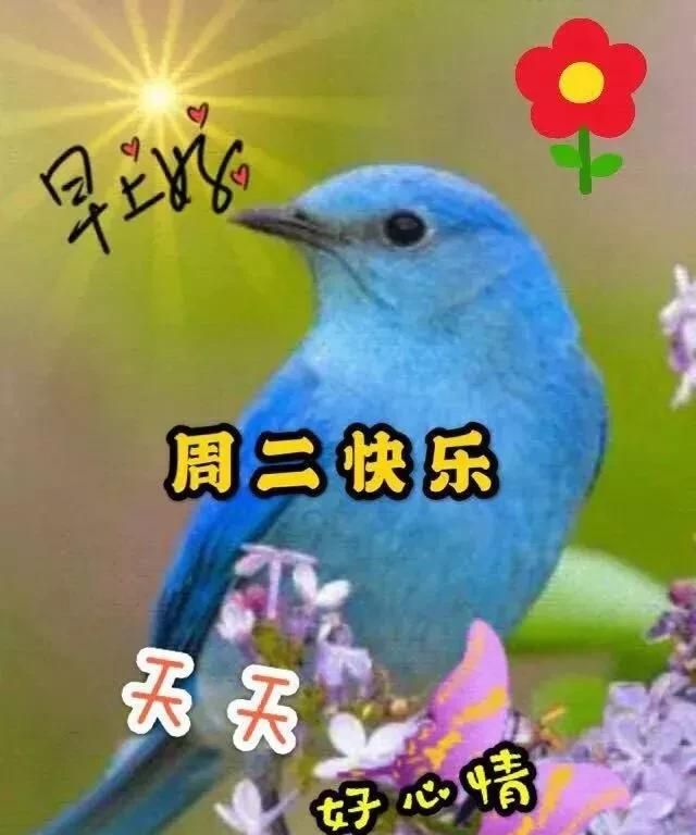 周二祝福图片 早上好问候句子