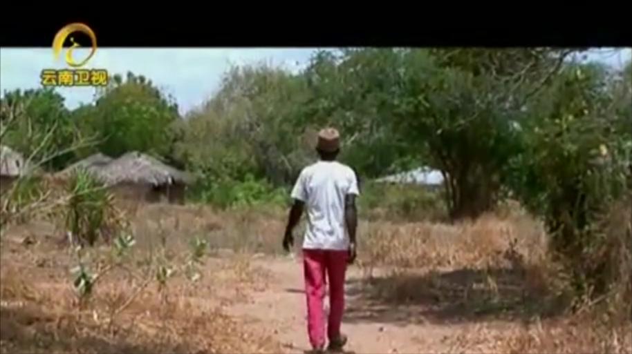 非洲察沃食人狮真相揭秘 那些年吃人的狮子去哪了