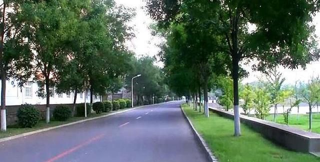 沈阳一本大学排名_2019-2020辽宁一本大学排名及分数线(理科+文科)