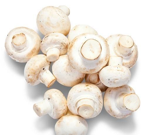 洋菇:第一种被投入大量生产的菇类,营养补给品是它?