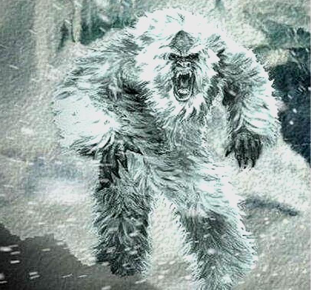 喜马拉雅雪人是传说还是事实?早在60年前,青年勇闯孤岛给出答案