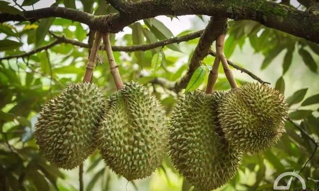 充电比加油还快 超级电容+锂电池或将是新能源革命的里程碑