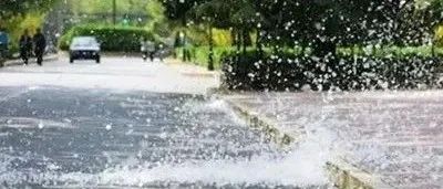 草长莺飞四月天 柳絮飘飘惹人恼：不仅伤人还伤车！