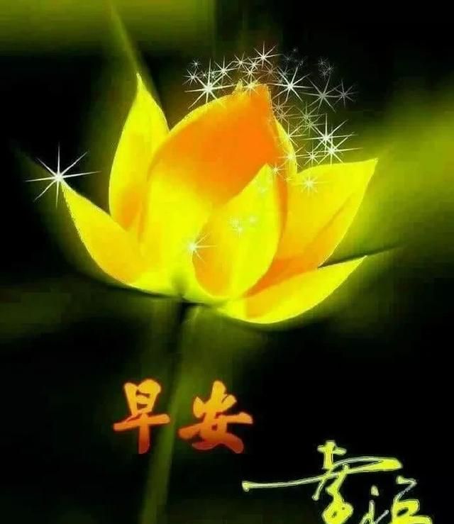 清晨发圈的漂亮图片早上好动图,最美的早上好动态表情