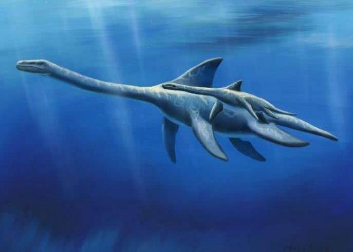 恐龙时期的海洋世界也很丰富,考古发现,这几种恐龙真实存在过
