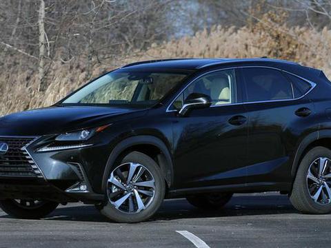 售价更低！雷克萨斯NX加入新成员250车型