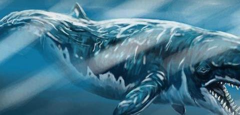 史前巨兽巨齿鲨没有天敌，为什么会灭绝？