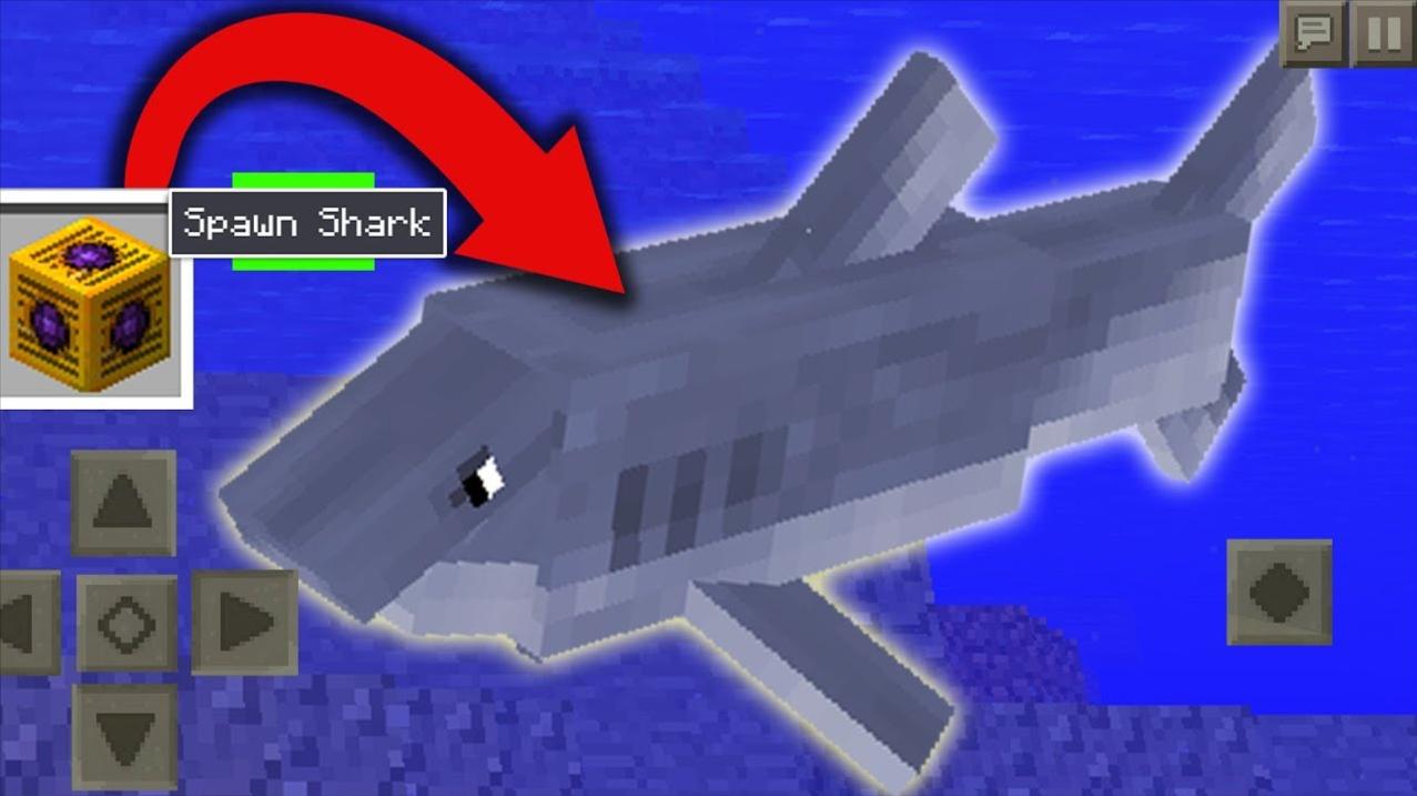 我的世界更多海洋生物，魔哒觉得比原版做的都要好_新浪新闻