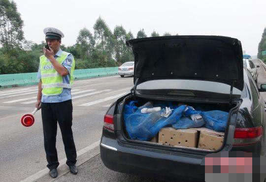交警通知:后备箱严禁出现四类物品,抓到罚500后果自负