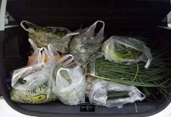 交警通知:后备箱严禁出现四类物品,抓到罚500后果自负