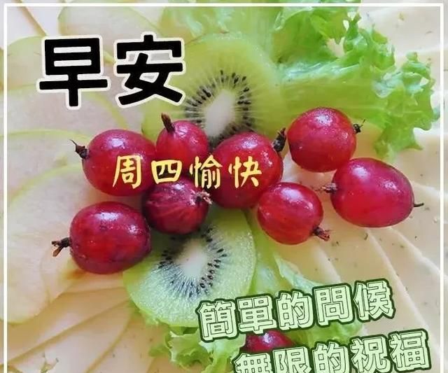 星期四早上问候朋友的祝福语录,2020最新早安祝福鲜花图片表情