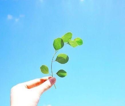 很有深意的阳光励志句子,致不甘平庸的你!