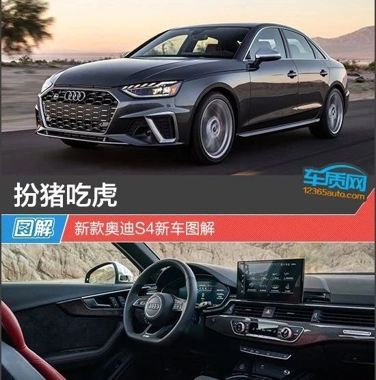 扮猪吃虎 新款奥迪S4新车图解