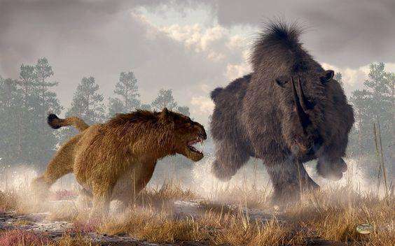 史上咬力最强的哺乳动物袋狮为何消失匿迹?