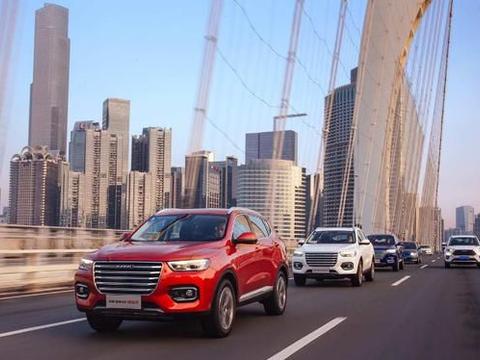 宁买合资“凤尾”，不买国产“鸡头”？车友：从不后悔选了国产