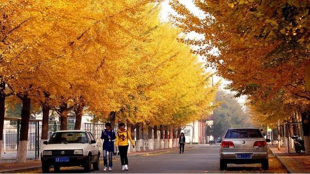 重庆天度怎么样的