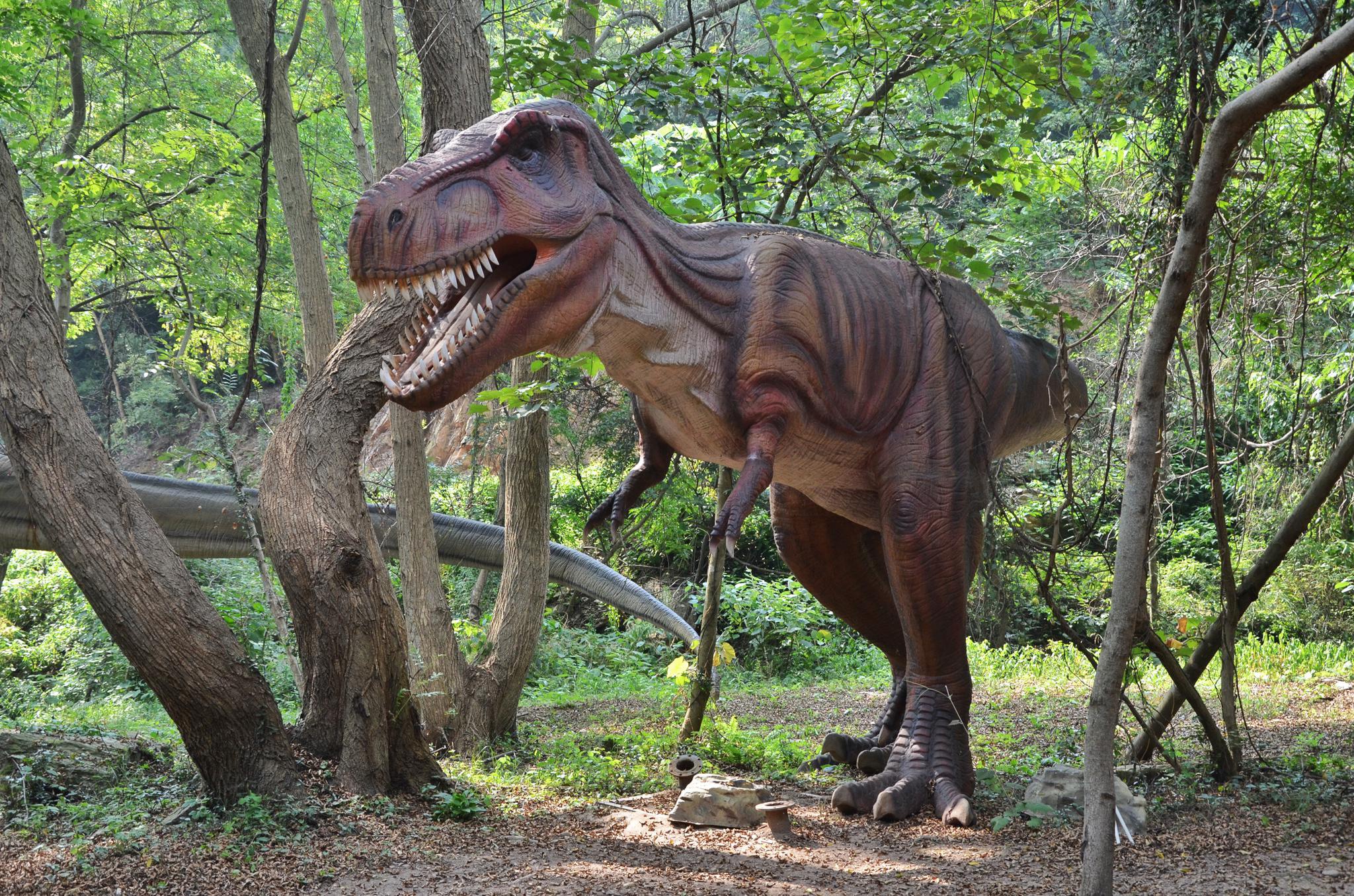 武汉有中国最大的恐龙基地,是国家5a景区,仿佛回到了侏罗纪|恐龙谷