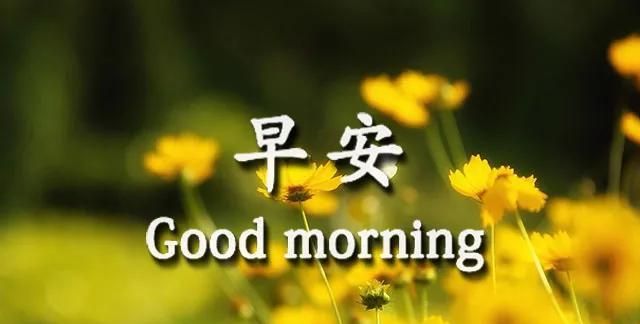 好看的早安图片祝福语 唯美暖心的早上好图片带字