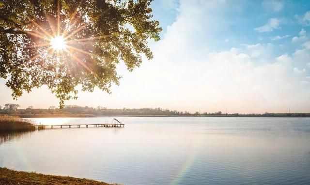 胡姓有多少人口