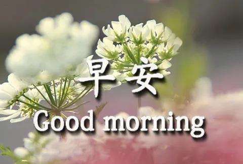 好看的早安图片祝福语 唯美暖心的早上好图片带字